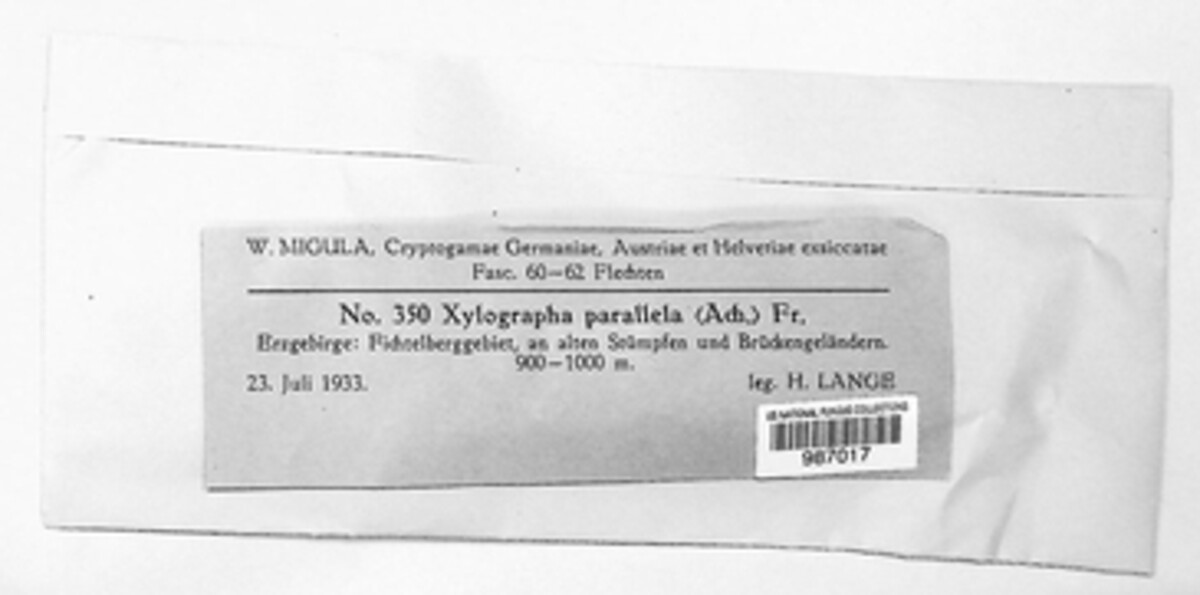 Xylographa image